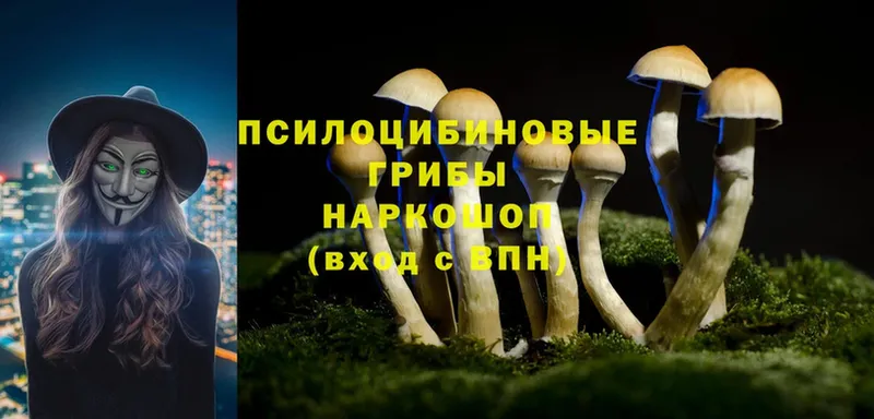 Псилоцибиновые грибы Magic Shrooms  Новоалтайск 