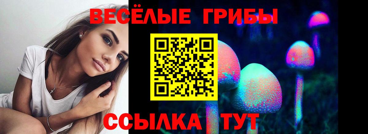 Галлюциногенные грибы Cubensis Новоалтайск