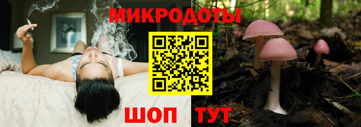Псилоцибиновые грибы мицелий  Вход с VPN  Новоалтайск 